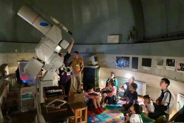 53511536_Unknown