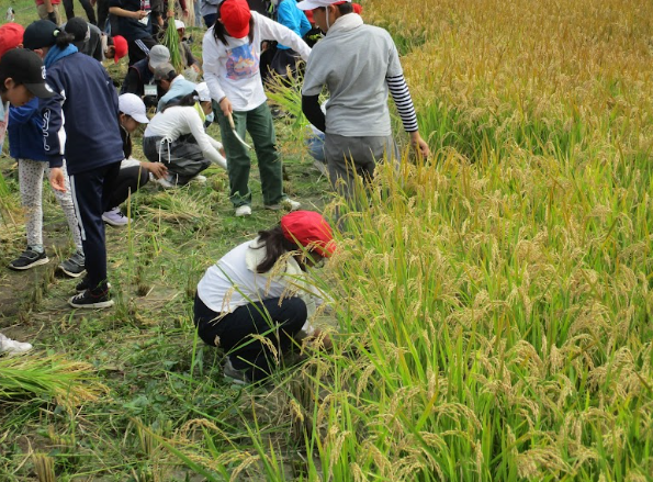 Screenshot 2025-10-04 18.16.54