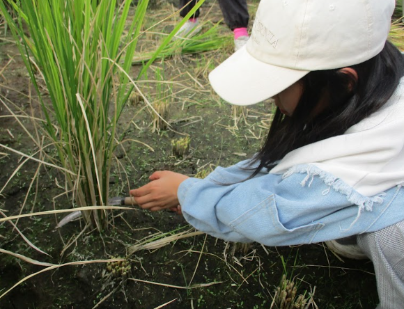 Screenshot 2025-10-04 18.26.48