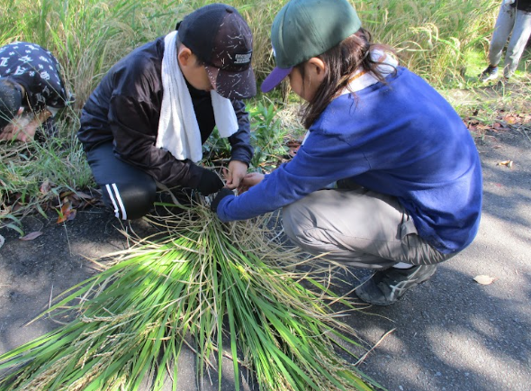 Screenshot 2025-10-17 18.43.43