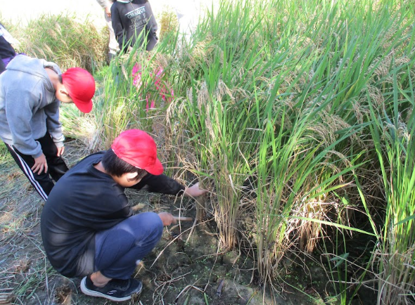 Screenshot 2025-10-17 18.43.26