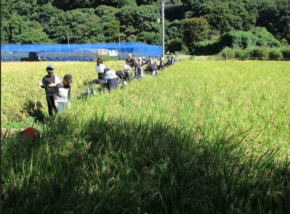 Screenshot 2025-10-17 18.44.44