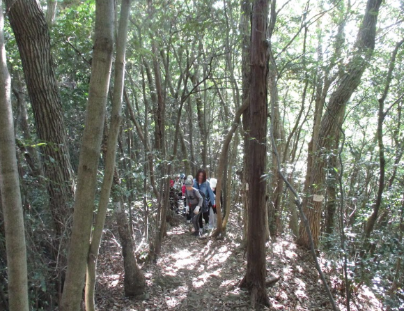 Screenshot 2025-11-17 15.05.20